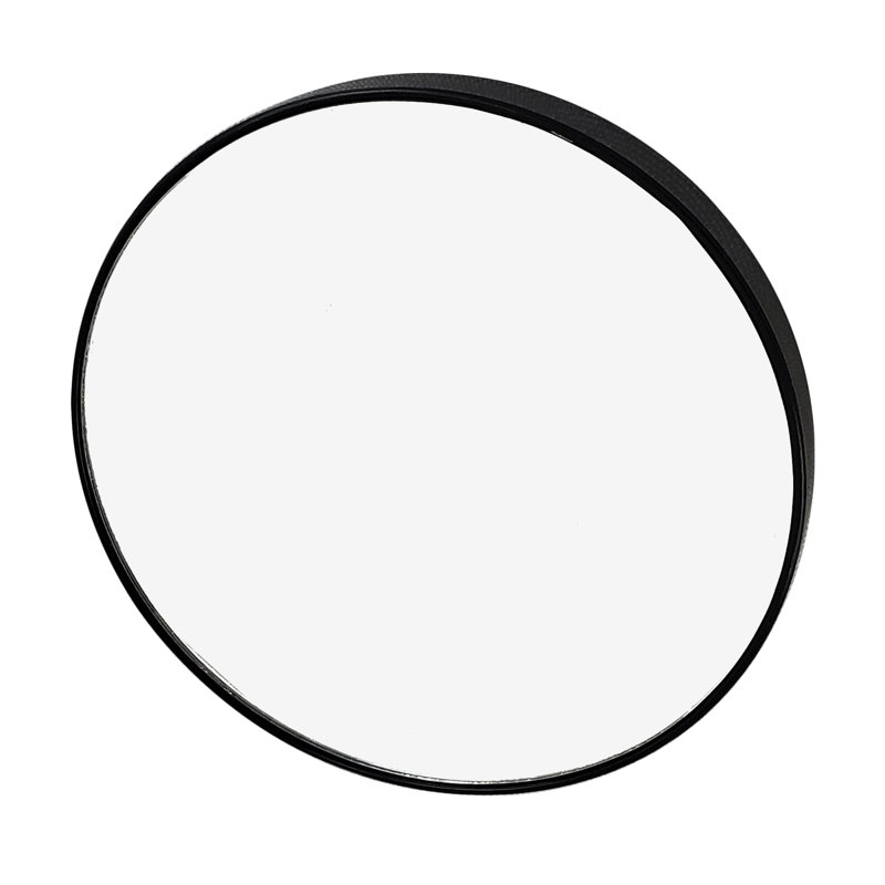 Alexaundria Magnifying Suction Mirror