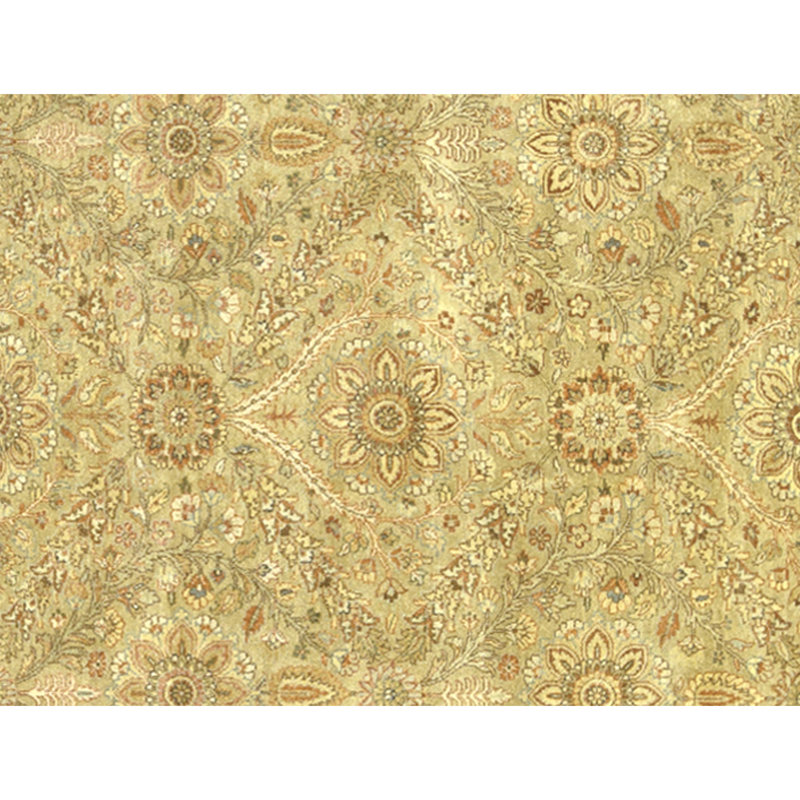 Hand Knotted Wool Indoor Rug