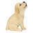 Howling Yellow Labrador puppy