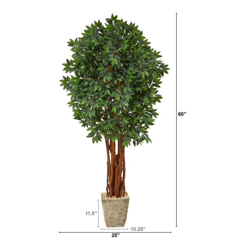 Litchi artificiel en pot, H 72 po x l 25 po x P 20 po