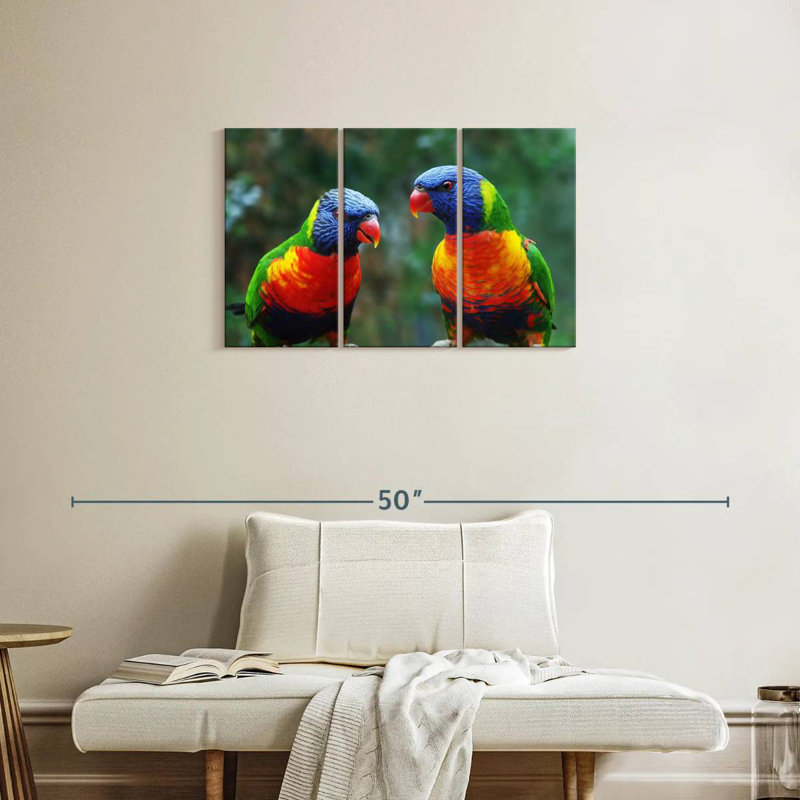 «Brampt Lorikeet Buddies», H 20 po x l 33 po