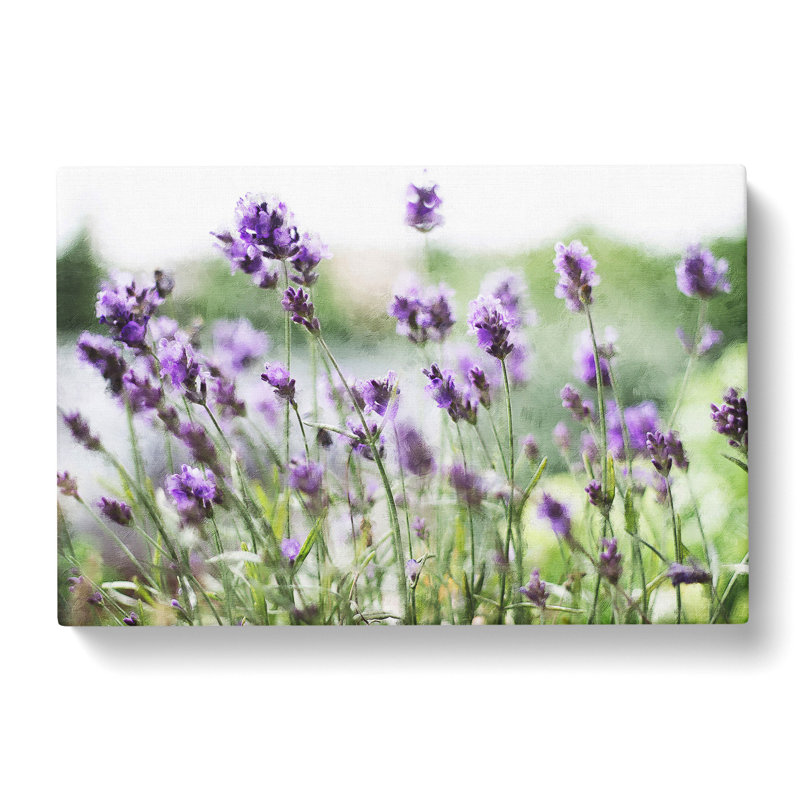 Lavender Vol.1 - Wrapped Canvas Painting, 50cm H x 76cm W x 3cm D