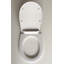 Elongated Toilet Seat