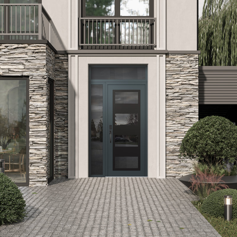 Panneau d'entrée en acier noir anthracite / anthracite avec panneau latéral et porte d'entrée pré-montée, Miroitant