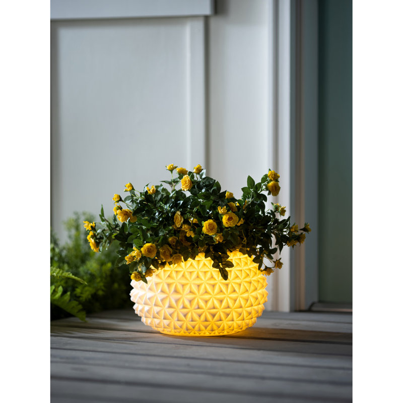 Vase lumineux