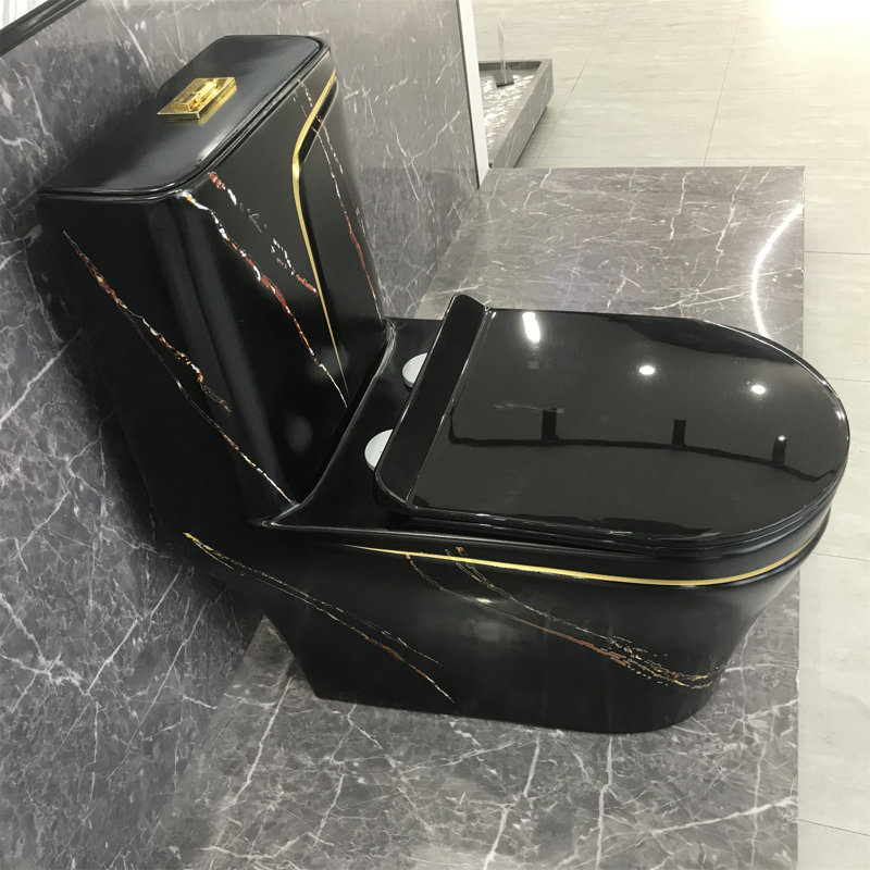 Dual-Flush Elongated One-Piece Black Toilet (Seat Included)