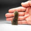 Genuine Moldavite Tektite (16.1 grams)