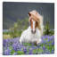 Trotting Icelandic Horse II, Lupine Fields, Iceland by Panoramic Images - Print on Canvas-101413819-69435008