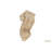 10 in. H x 4.5 in. W x 5 in. D Solid Wood Bracket / Corbel