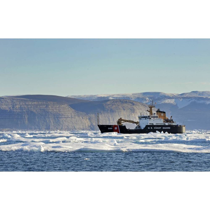 Modèle de navire USCGC Willow (WLB-202) L, H 10 po x l 36 po x P 5 po