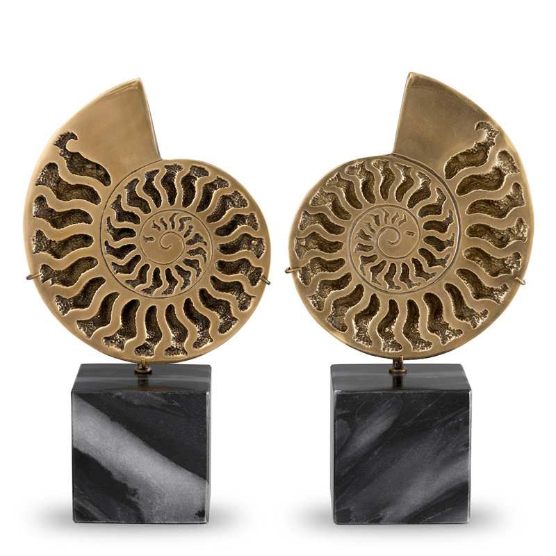 Décoration d'ammonite