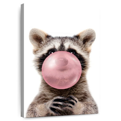 Raccoon Bubble Gum