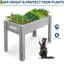Wood Raised Garden Bed-129417412-129417415