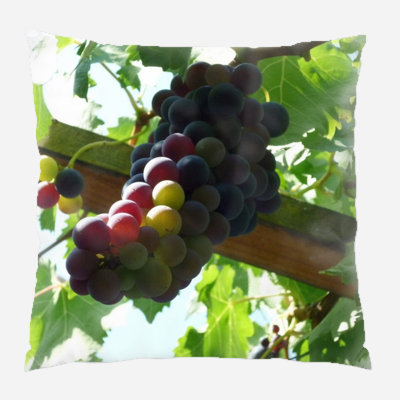 Coussin décoratif intérieur/extérieur raisins