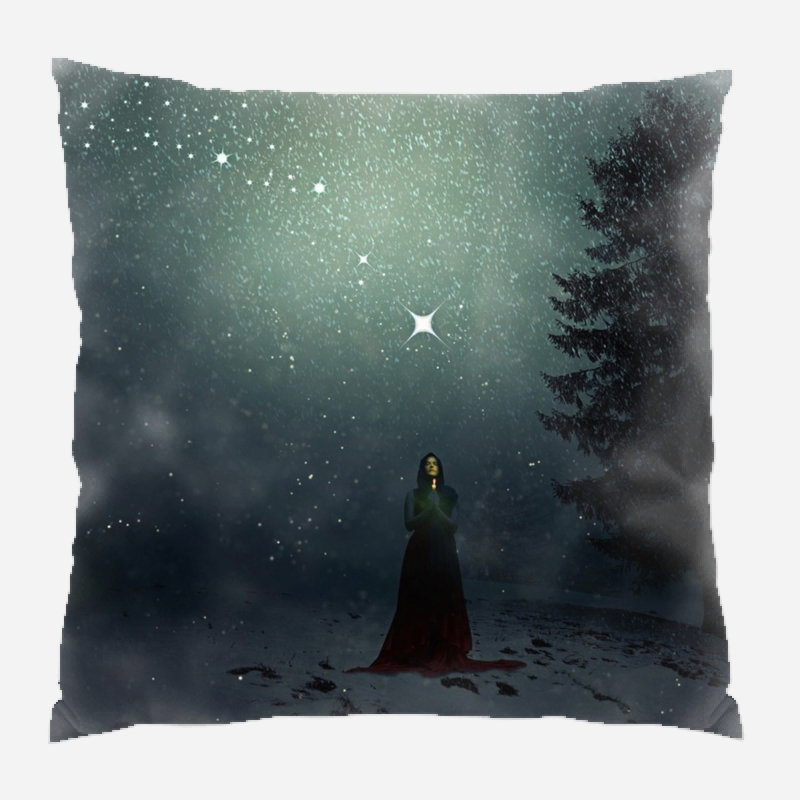  Coussin Winter