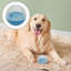 Gobelet pour chien 3,2 po-126191565