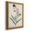 Toile encadrée de qualité supérieure Antique Botanical Collection VII - prête à être accrochée-561069305