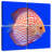 Brampt Exotic Discus Fish-109114481