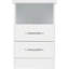 Cascio 2 Drawer Bedside Table-1985906656