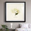 «Cornales Hydrangea II», reproduction encadrée de qualité supérieure - prête à être accrochée-658192911-658192904