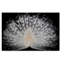 « white peacock portrait », reproduction de photo sur toile tendue-1638322166