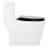 Sitka 1.28 GPF One Piece Elongated Toilet-92931196