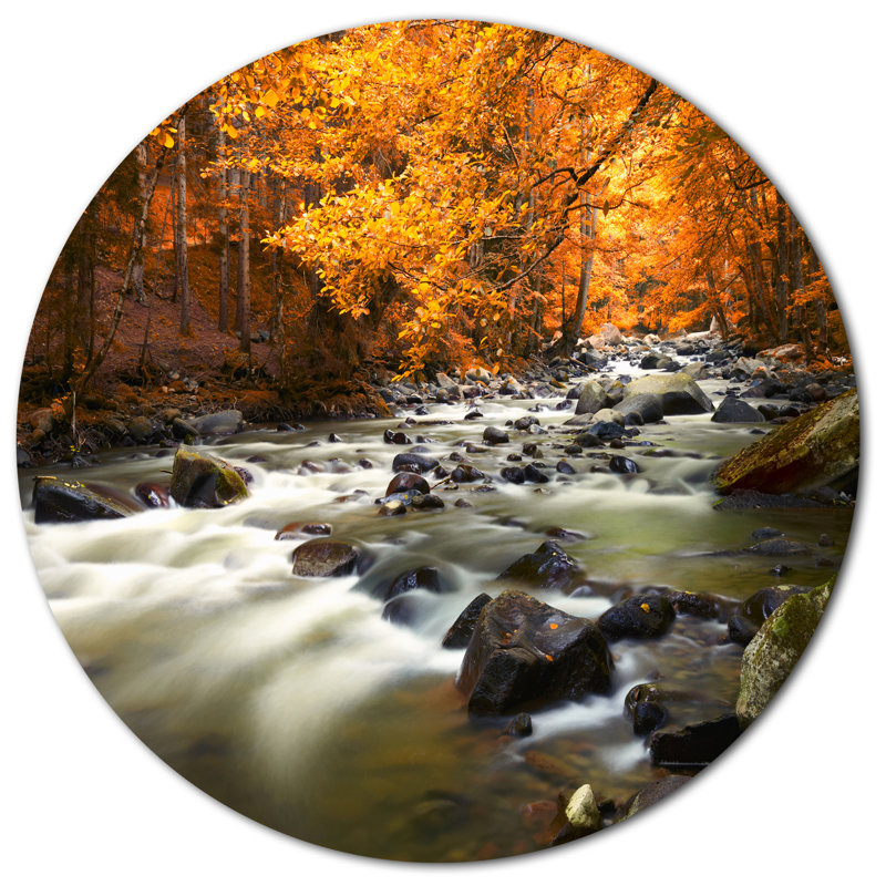 «Autumn Terrai With Trees and River», reproduction de photo sur métal, H 23 po x l 23 po