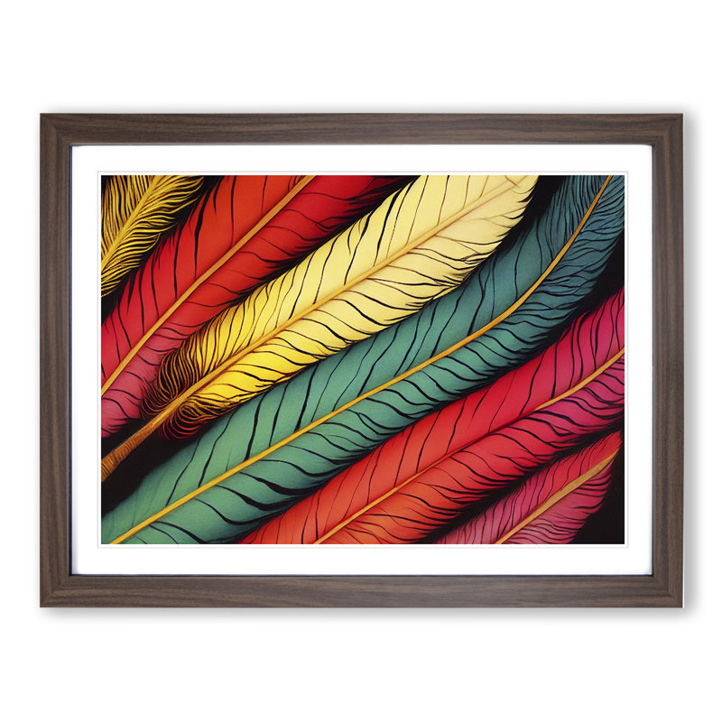 Colourful Bird Feathers Vol.1 - Framed Print, 46cm H x 64cm W x 2cm D, Walnut