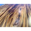 Tongass Dining Table