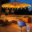 Outdoor 60 - Bulb 240'' Solar Powered LED Wide Angle LED String Light