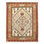 Oriental Area Rug in Beige