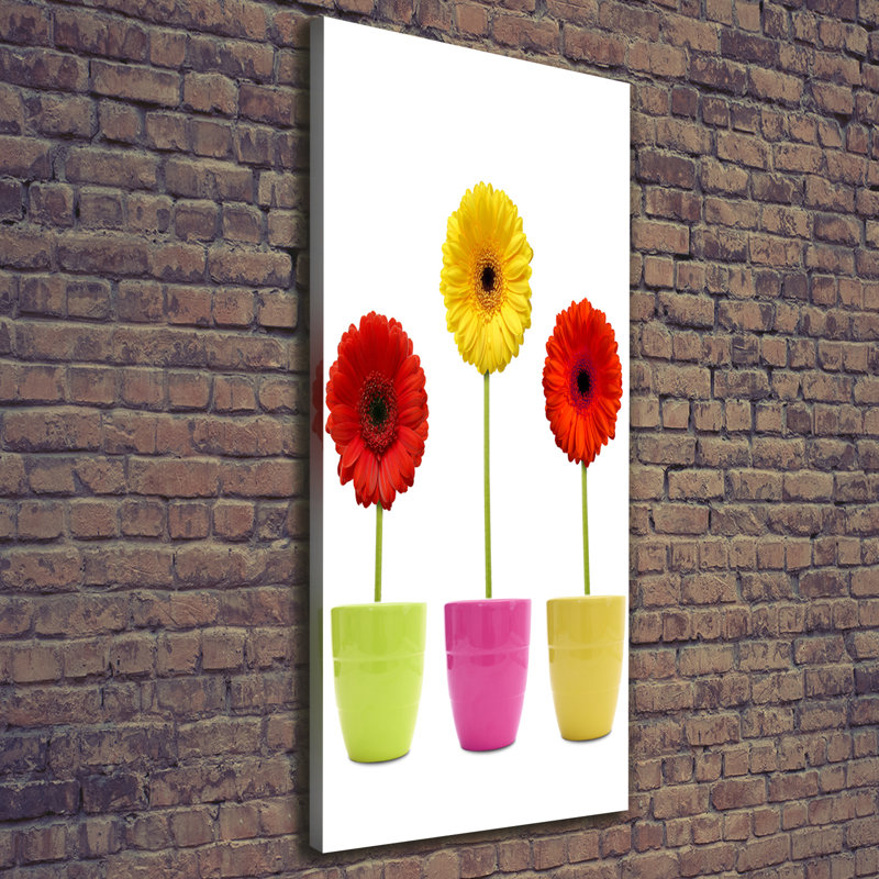 Colourful Gerberas - Wrapped Canvas Print
