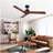 52" Black Lowe Profile Ceiling Fan without Light
