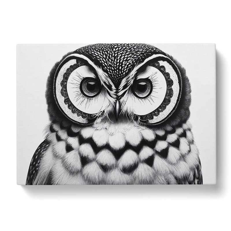 Unreal Owl - Wrapped Canvas, 40cm H x 60cm W x 3cm D