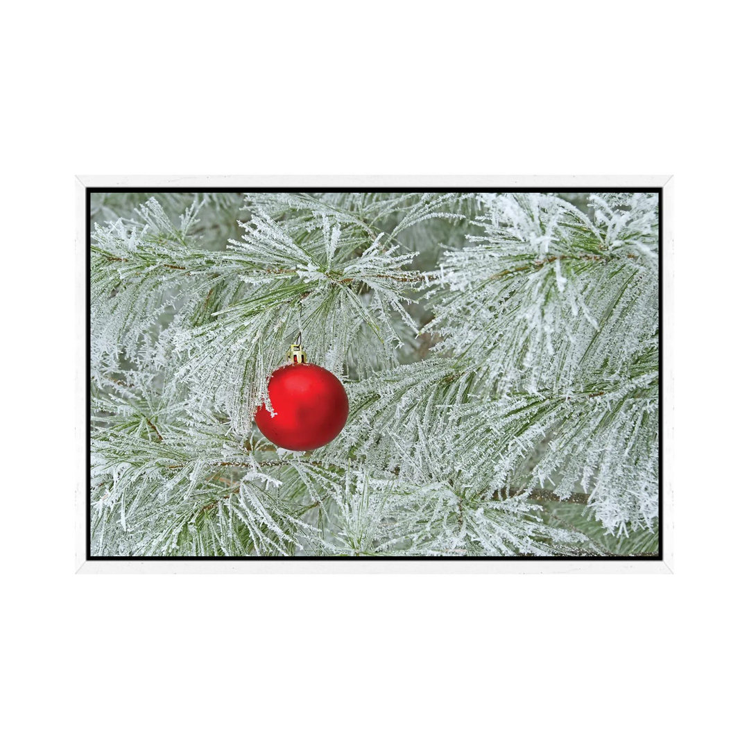 Rotes Ornament und Raureif Frost