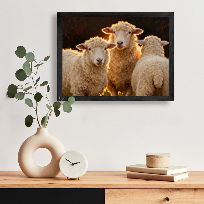 Reproduction d'art encadré noir, petit agneau mignon et douillet, style rétro, H 25 po x l 37 po