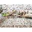 Arcada Area Rug-1991664868