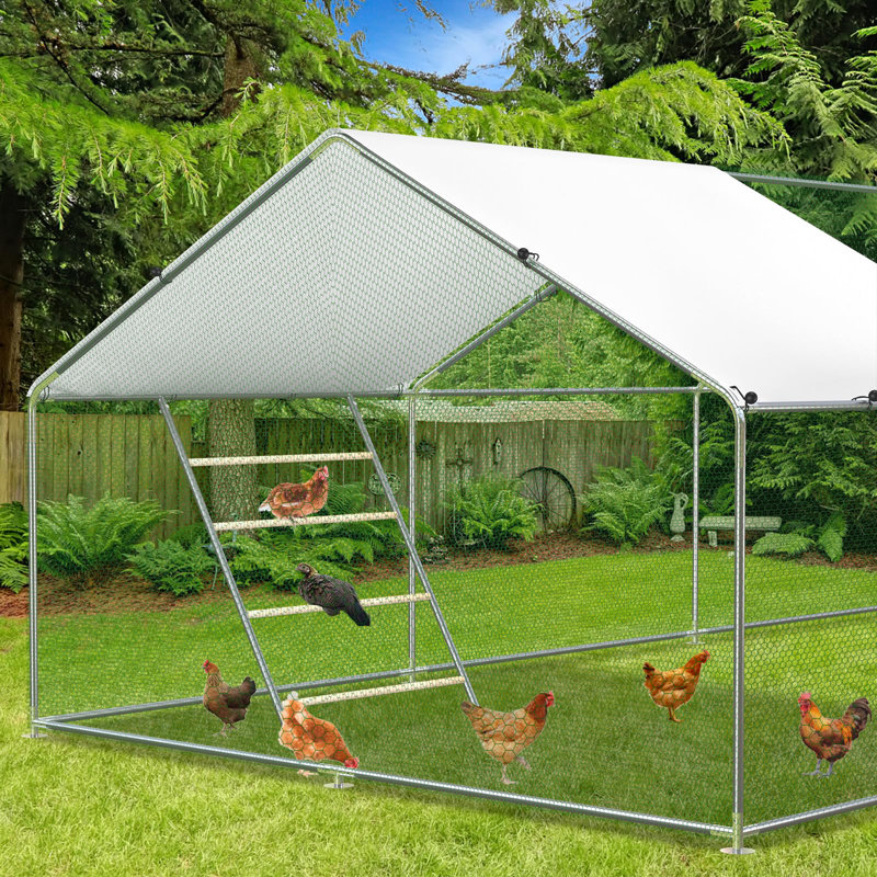 Ficarra Roosting Bars / Frames, 1