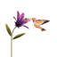 44 po. Colibri 44 po