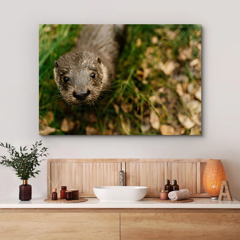 Head of Nutria, 8" H x 12" W
