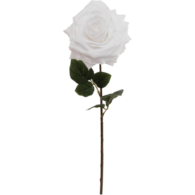 20" Open Rose Stem - 6 Pack