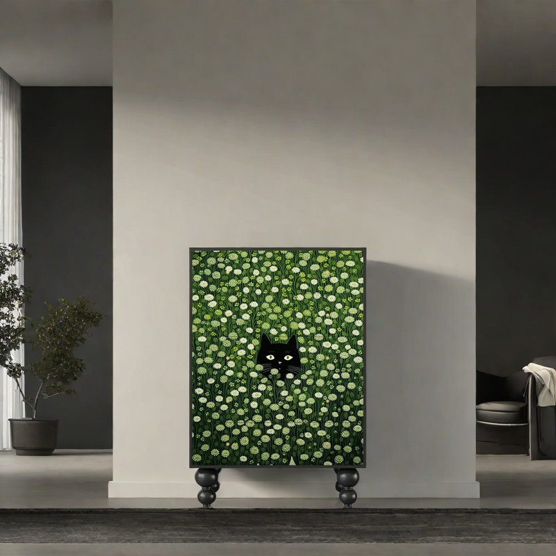 Exquisite Elegant Practical Accent Cabinet