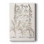 Toile tendue sépia Besler Botanicals-611271814