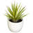 Southwest Collection Silk Agave Plant Set