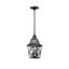 Luminaire suspendu d'extérieur, lanterne suspendue d'extérieur moderne noire en métal antirouille avec abat-jour en verre transparent et chaîne réglable pour porte de vestibule (1 paquet)