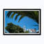 Palm Sunday Print by Tim Klein