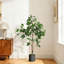 Ficus artificiels d'intérieur, 4 pi de haut ficus artificiel avec jardinière noire et fausse mousse verte, plantes artificielles avec tronc de bois naturel et fruits réalistes pour la décoration de bureau personnel-453720649-453720654