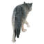 « call of the wild : statue loup gris growing »