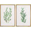 «Green Thym and Rosemary Duo», ensemble de 2 reproductions encadrées sur toile-98553981-98553982