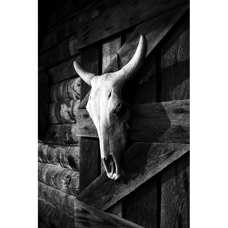 Crâne de taureau blanc Fifine par Punkbarby, H 18 po x l 12 po